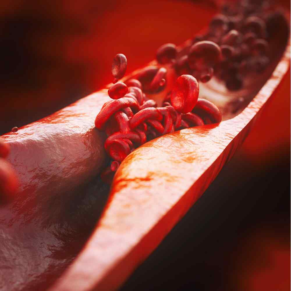 inner_image_04 https://gokcek.pansocial.me/wp-content/uploads/2021/08/inner_image_04.jpg